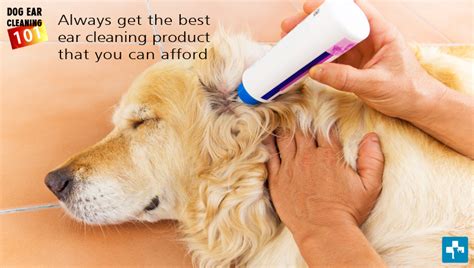 How To Clean Your Dogs Ears Pet Health Carehow To Clean Your Dogs Ears