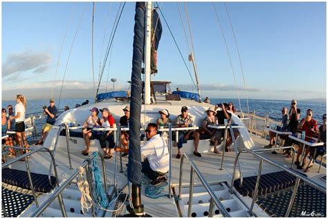 Trilogy Sunset Dinner Sail Review Maui Guide