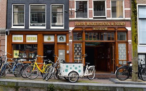 Is Amsterdam Really Going To Ban Tourists From Cannabis Coffeeshops Leafly