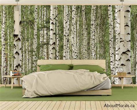 Birch Tree Forest Wall Mural Removable Wallpaper From Aboutmuralsca