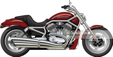 Harley Davidson V Rod Illustration By Lee Montgomery