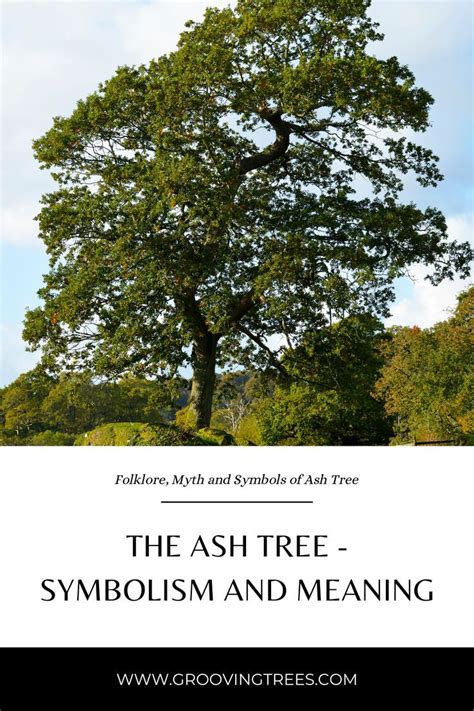 The Ash Tree Symbolism And Meaning Artofit