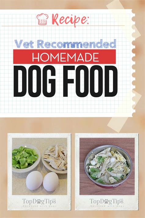 Ve&cc vets healthy dog food recipe this recipe from ve&cc vets is simple but balanced. Vet Recommended Homemade Dog Food Recipe and Serving Sizes