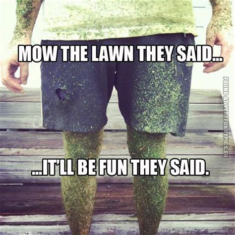 Mow The Lawn They Said Very Funny Pics