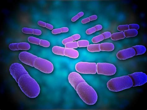 Listeria monocytogenes is the species of pathogenic bacteria that causes the infection listeriosis. Does cooking kill listeria and what are the symptoms to ...