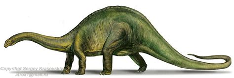 Brontosaurus Wiki Prehistórico Fandom Powered By Wikia