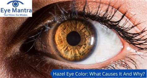 Hazel Eye Color Facts Causes And Advantages Of Hazel Eyes