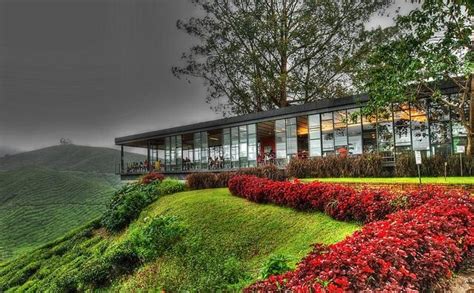 Cameron highlands resort, tanah rata. BOH Tea Plantation Cameron Highlands Tour ...