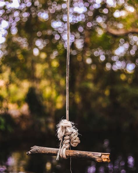 Hd Wallpaper Brown Stick Tied On Gray Rope Tree Focus On Foreground