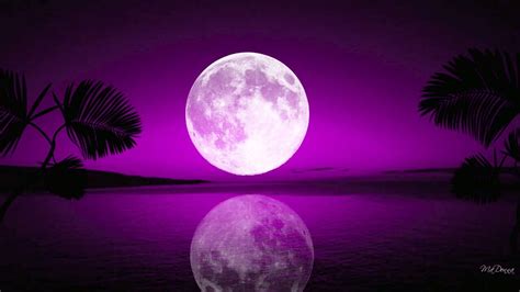 Pin By Solange Ltaif On Moon Purple Sky Moon Beautiful Moon
