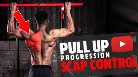 How To Build Scapular Control Pull Up Weak Links QUICK GUIDE YouTube