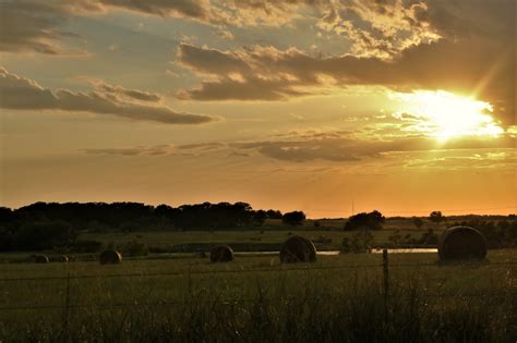 Golden Sunset Over Hay Field Free Stock Photo Public Domain Pictures