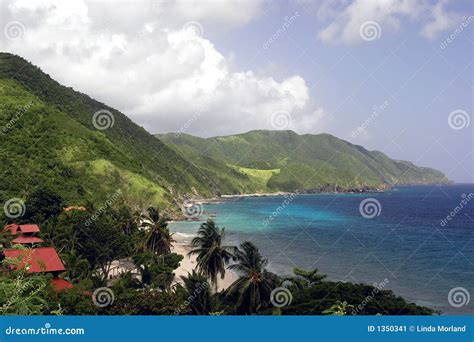 Tropical Coastline Stock Image Image Of Cloudy Coastal 1350341