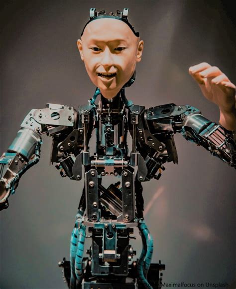 Who are humanoid robots | TheRobota