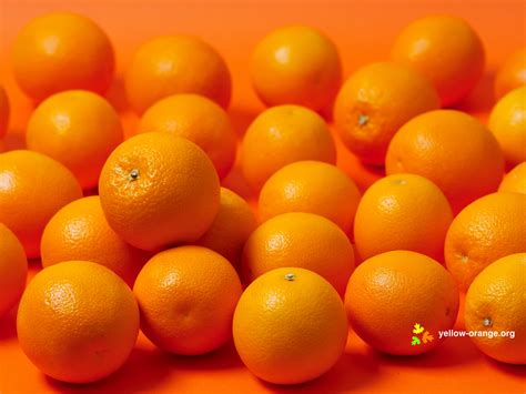 Download Food Orange Wallpaper