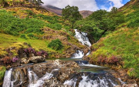 Download Gorgeous Beautiful Waterfalls Grass Nature Creek Live