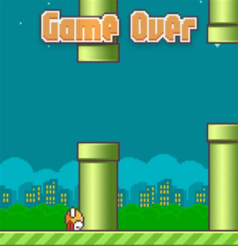 The Source Rip Flappy Birds May 2013 February 2014