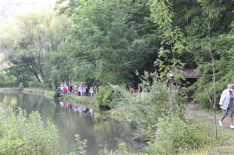 Promenade Aux étangs De La Julienne Ce Vendredi 25 Juin 2021 École