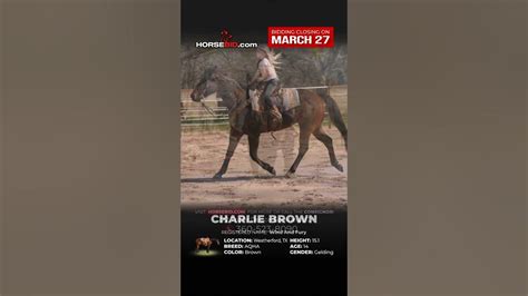ch rlie brown rides safely through town excels inside and outside of the arena true all