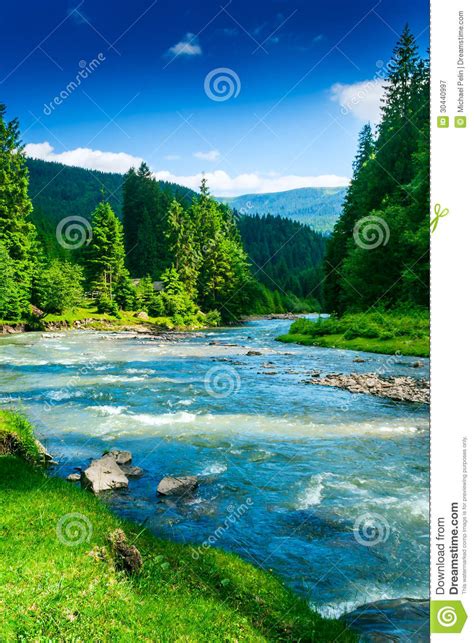Mountain River Stock Image Image Of Sunlight Forest 30440997