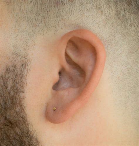 Mens Earrings Studs Gold Mens Stud Earrings Earrings For Etsy Ear