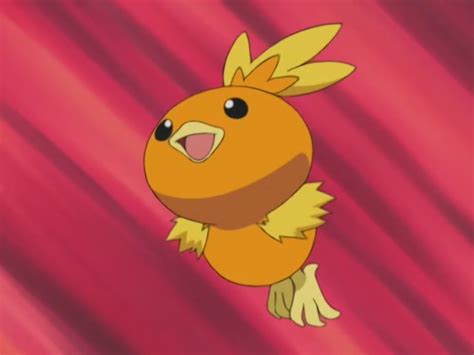 26 Fun And Fascinating Facts About Torchic From Pokemon Tons Of Facts