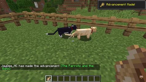 How To Get Tame And Breed Minecraft Cat Ultimate Guide