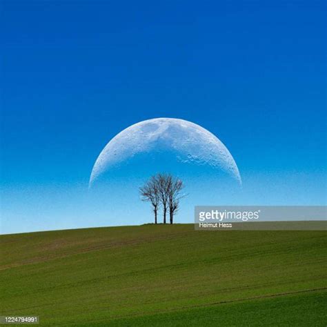 The Big Moon Photos And Premium High Res Pictures Getty Images