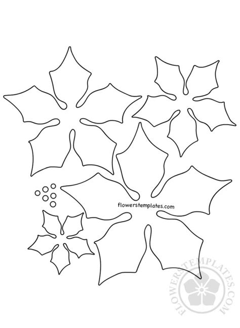 Paper Poinsettia Christmas Flower Template Flowers Templates