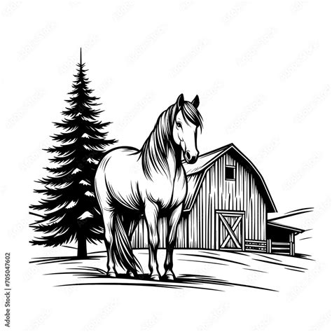 Rustic Barn Horse Farm Stable Country Ranch Cowboy Horse Rustic Barn