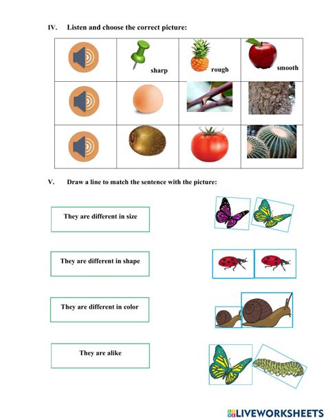 Big Science 3 The Nature Of Science Worksheet