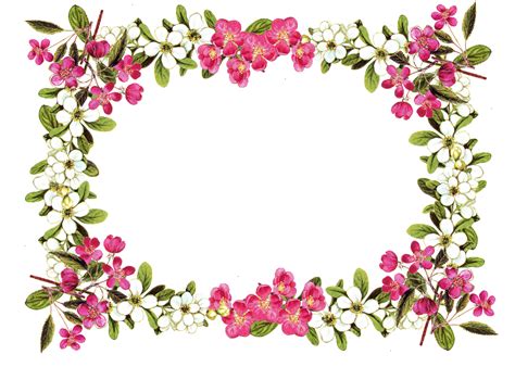 flower border images free 20 free Cliparts  Download images on