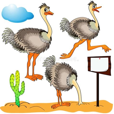 Ostrich Head Sand Stock Illustrations 200 Ostrich Head Sand Stock