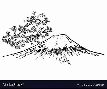 Fuji Mount Japan Blossom Engraving Cherry Sketch
