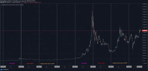 2021 will be a year of transition. Historical Cycles Suggest Bitcoin Will Reach for New Highs ...