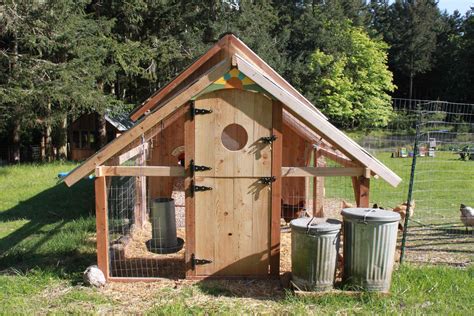 making a chicken coop homesfeed