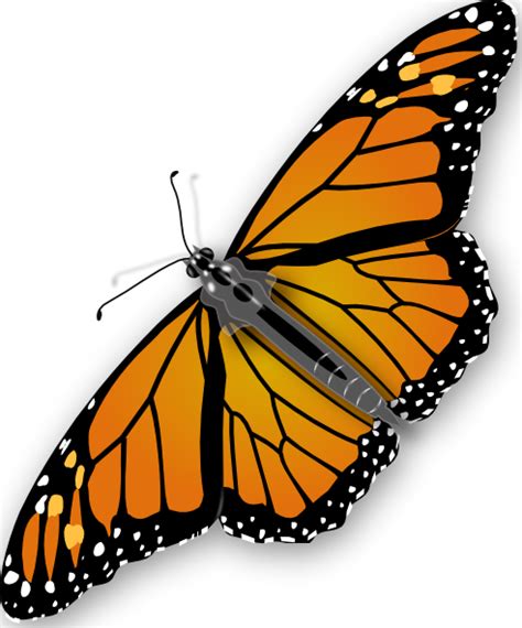 Butterfly Clip Art At Vector Clip Art Online
