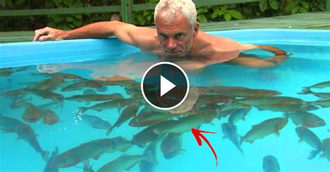 This Guy Decided To Swim With Piranhas What Happened Will Really Shock