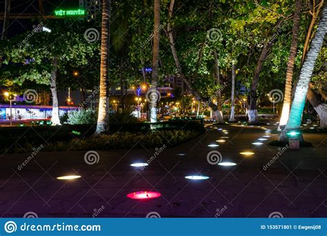 Illuminated Path In The Park Between Palm Trees At Night Stock Image