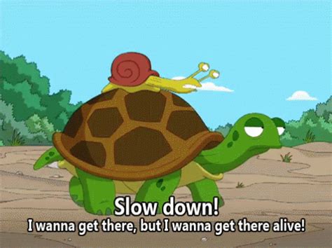 Slow Down GIF SlowDown Turtle Snail Discover Share GIFs Funny Pictures Friends Funny Funny