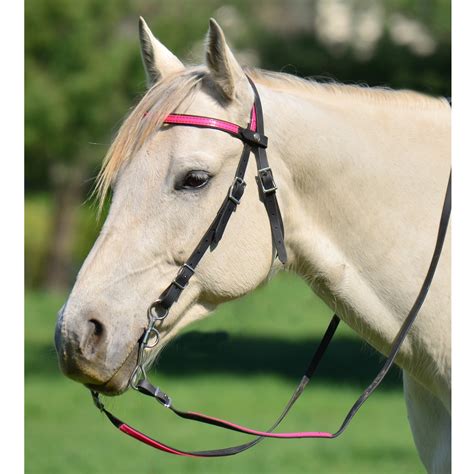 purchase western horse bridles   horse tack