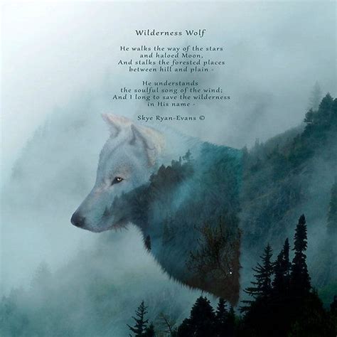 ‘wilderness Wolf And Poem By Skye Ryan Evans Forest And Wildlife