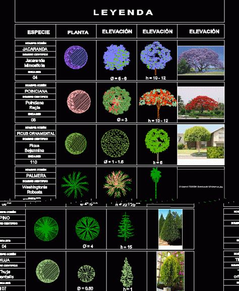 Plant Palette Dwg Block For Autocad Designs Cad