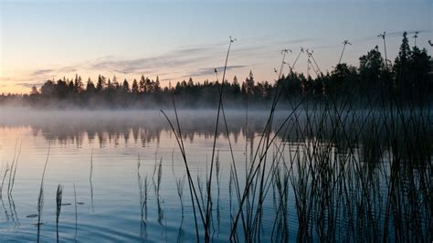 The country has comfortable small towns and cities, as well as vast areas of unspoiled nature. Finland country briefing - The European environment ...