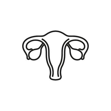 Modern Flat Line Female Reproductive System Vector Icon Uterus With