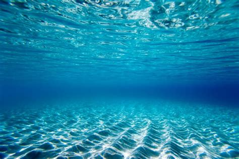 Clear Underwater Ocean Wallpaper