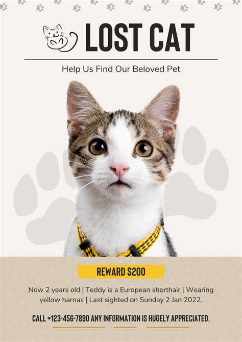 Printable Lost Cat Poster Template Uk