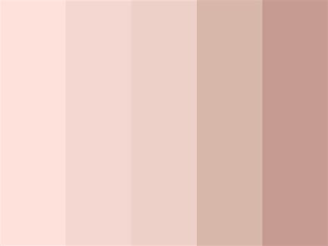 Color Guide For Buying Bridesmaids Dresses Blush Tones Blush Tones Bridesmaid Blush Color