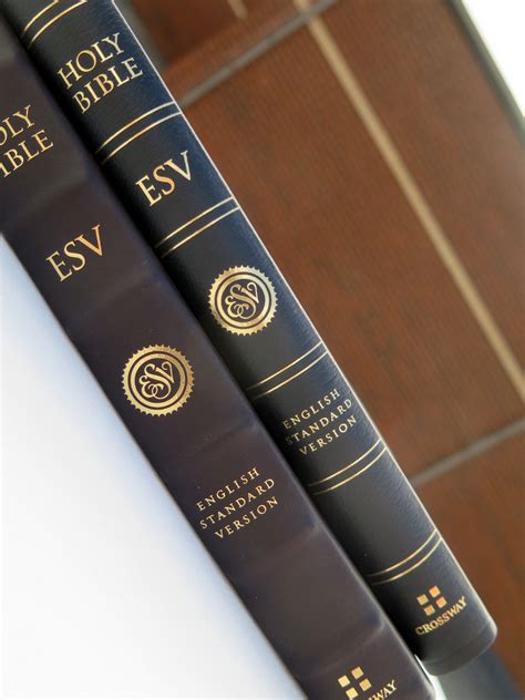 Crossway ESV Large Print Thinline Reference Bible (Genuine Leather, Black) - evangelicalbible.com