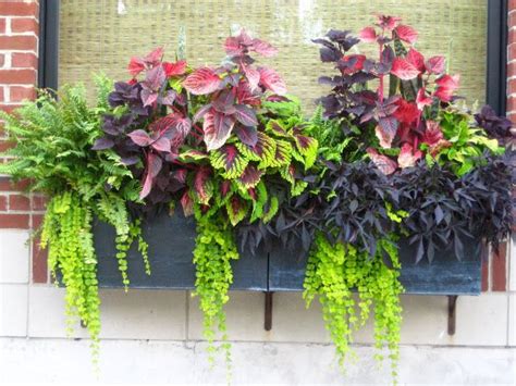 The project is directed at enabling designers of 'carbon farms' and 'food forests': great idea planters for north facing balcony | Window box ...